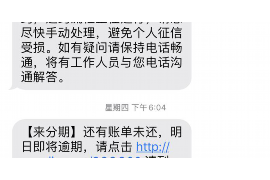 催收计划怎样写：打造高效催收策略的指南